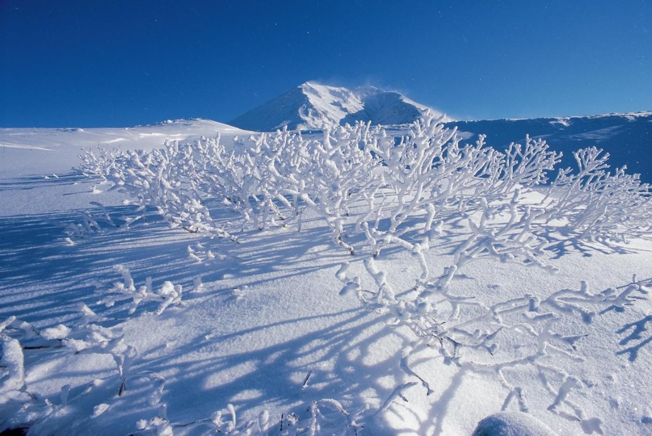 ホテル ラビスタ大雪山 東川町 エクステリア 写真