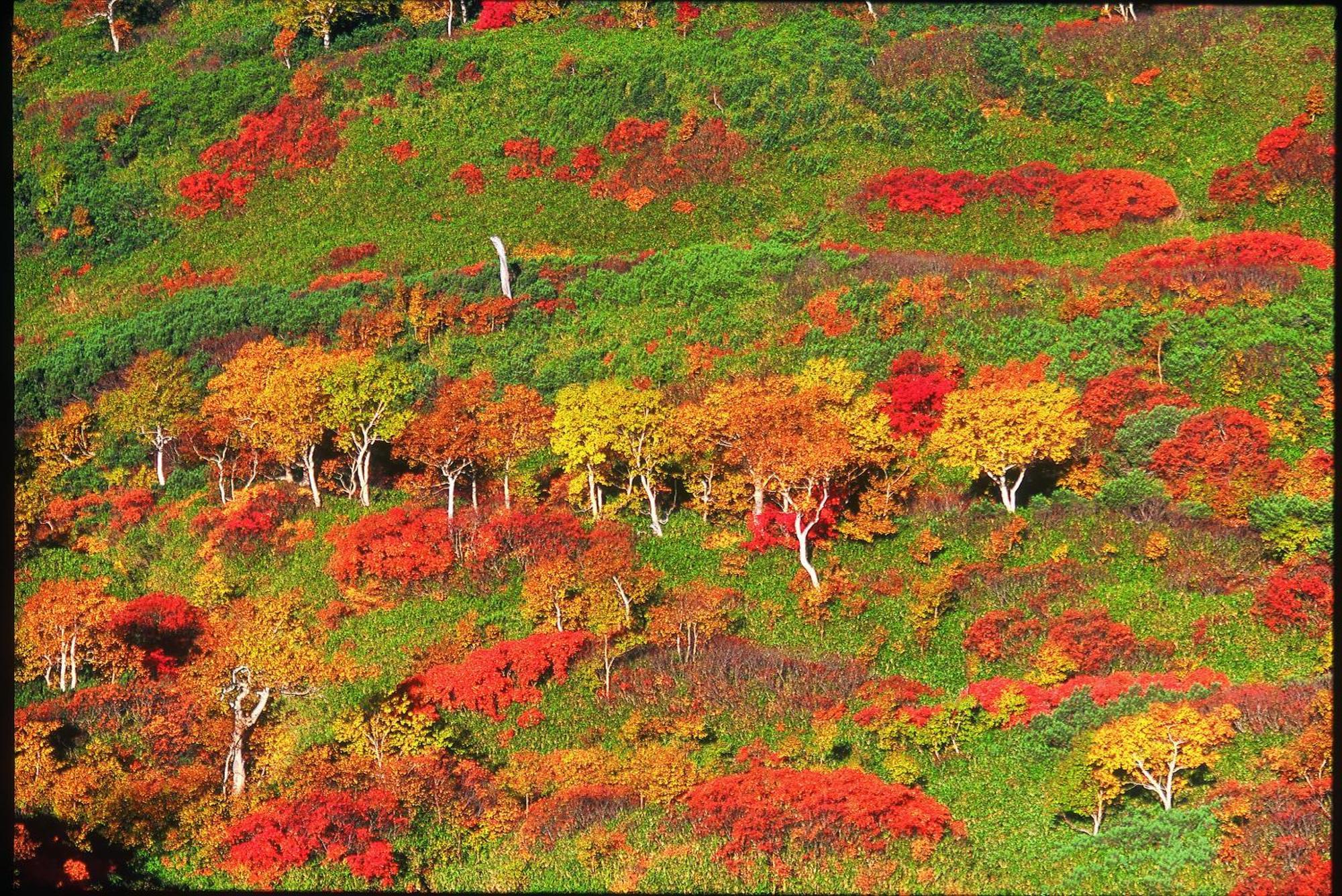 ホテル ラビスタ大雪山 東川町 エクステリア 写真